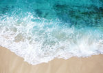 大海