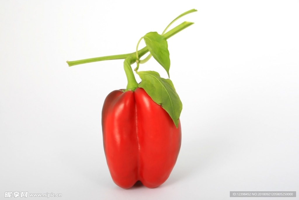 菜椒