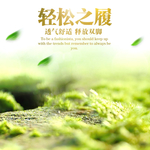 树叶主图素材  树叶主图