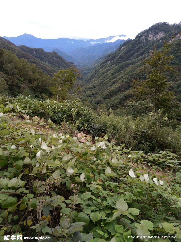 壮丽的大山风光