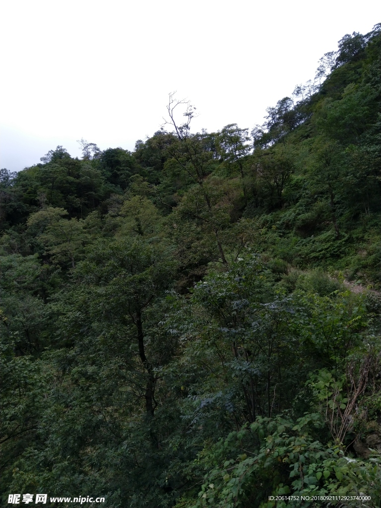 大山风景