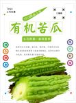 苦瓜海报