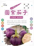 圆茄子海报
