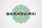 专业桌牌