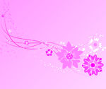 花纹