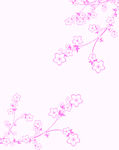 花纹