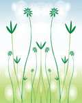 花纹