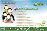 泥博士硅藻泥十问