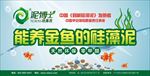 2018泥博士 硅藻泥 养金鱼