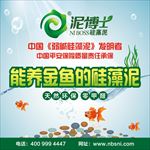 最新 泥博士 养金鱼的硅藻泥