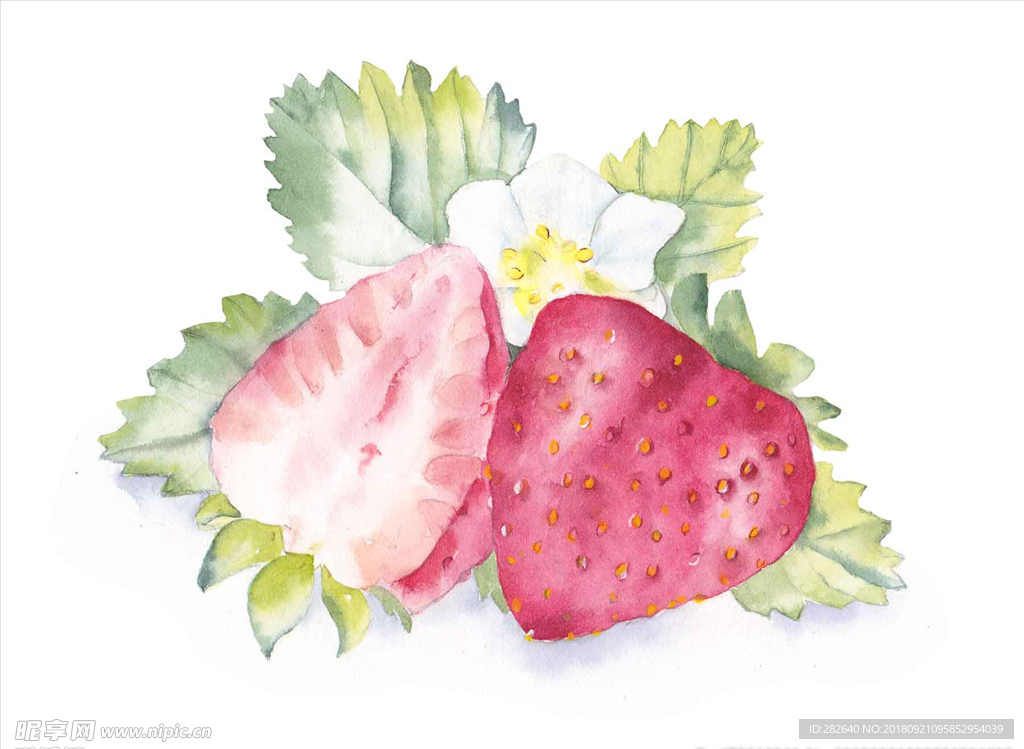 水彩插画
