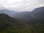 山