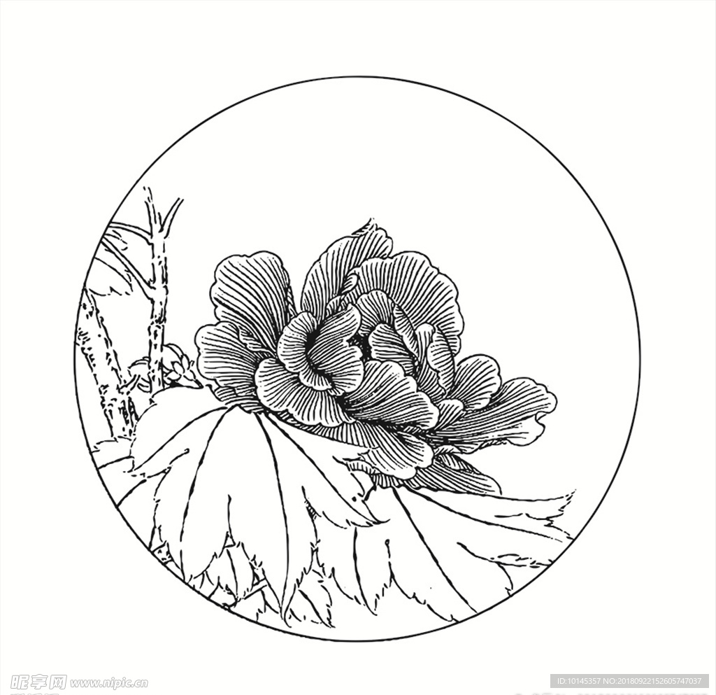 花卉