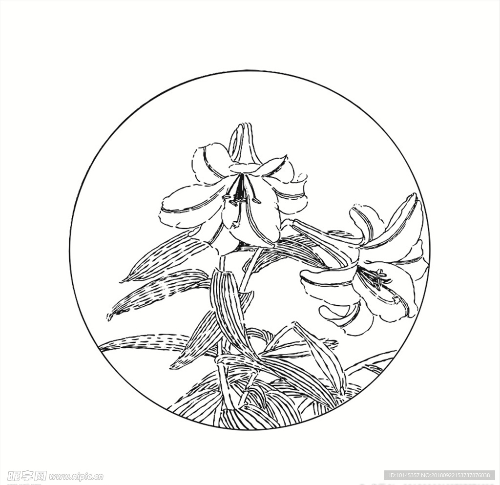 花卉