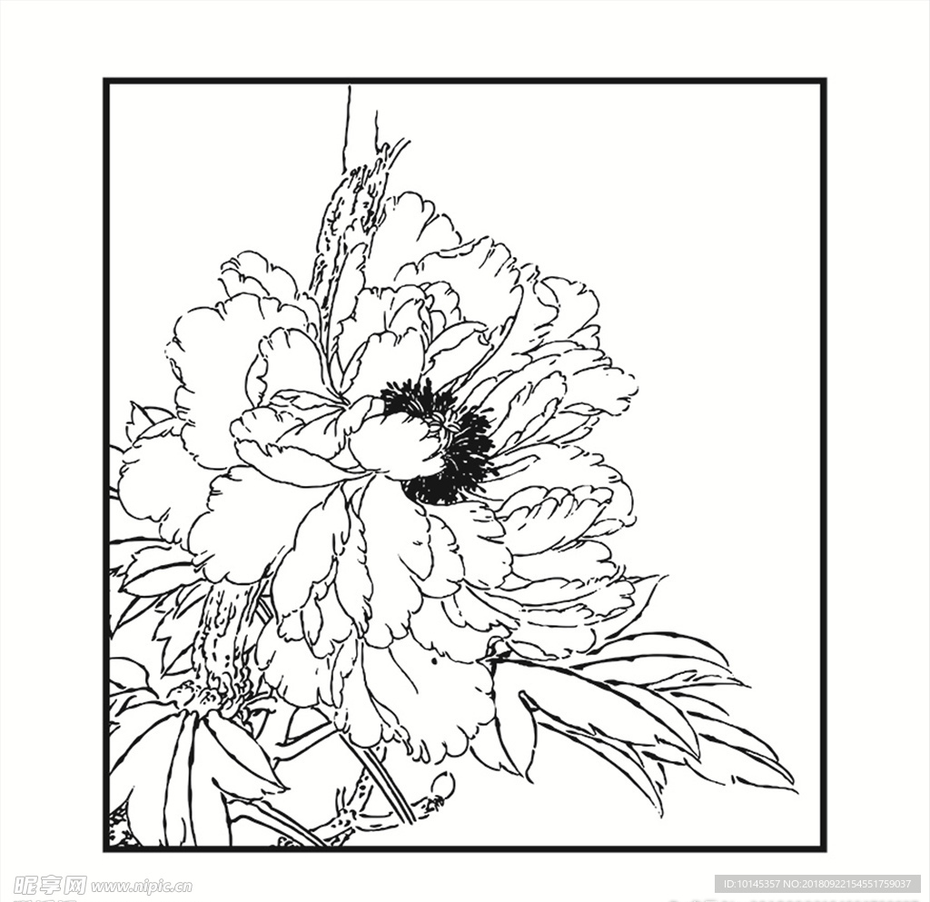 花卉