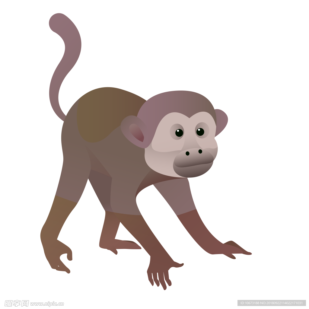 透明底猴子