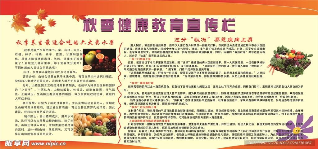 秋季健康教育宣传栏