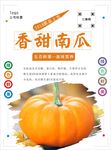 南瓜海报