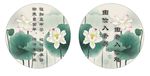 古典荷花