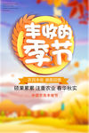 丰收的季节
