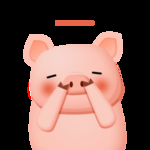 猪怎么了