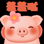 羞羞哒猪