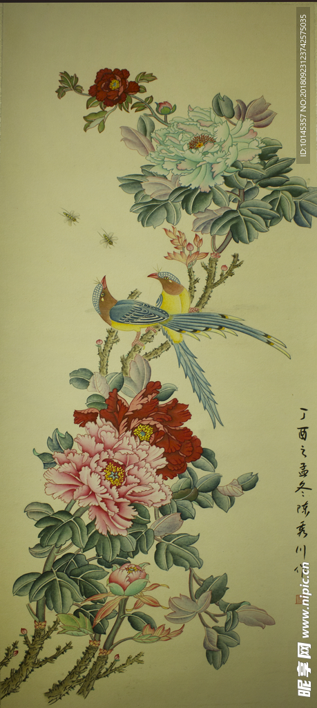 花鸟