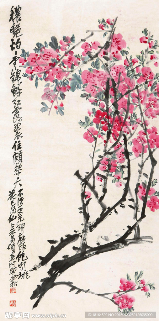 梅花