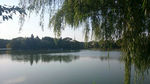 鱼塘风景