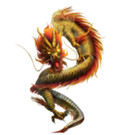 龙