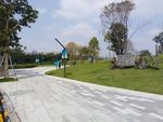 公园 海边公园 城市 都市