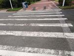 斑马线 过马路 马路
