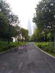 公园 公园道路 逛公园 市公园