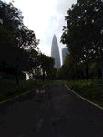 公园 公园道路 逛公园 市公园