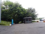 公园 公园道路 逛公园 市公园