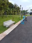 公园 海边公园 城市 都市