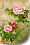 牡丹花