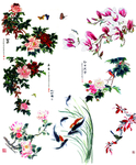 花鱼