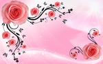 玫瑰花