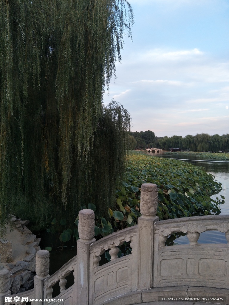 桥上风景