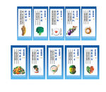 节约粮食展板