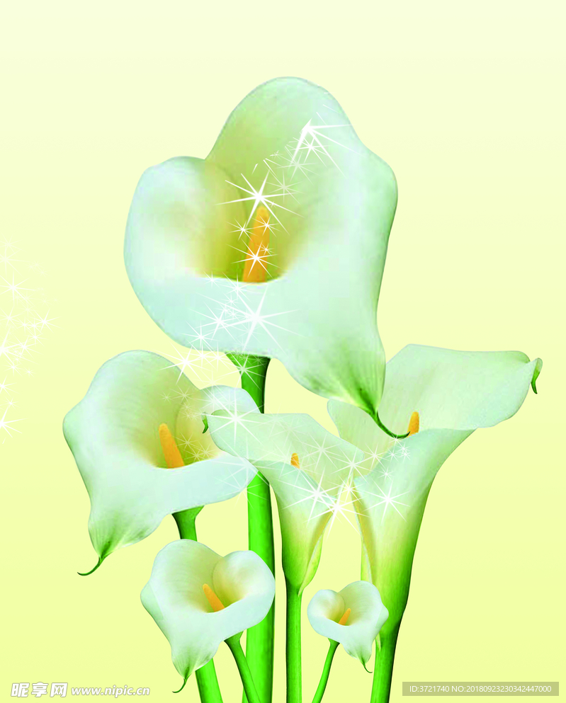 百合