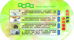 反邪教板面