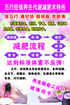 经络减肥