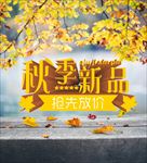 秋季新品  抢先放价 秋季促销