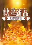秋季新品  抢先放价 秋季促销