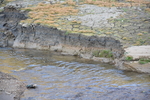 荒野 河流