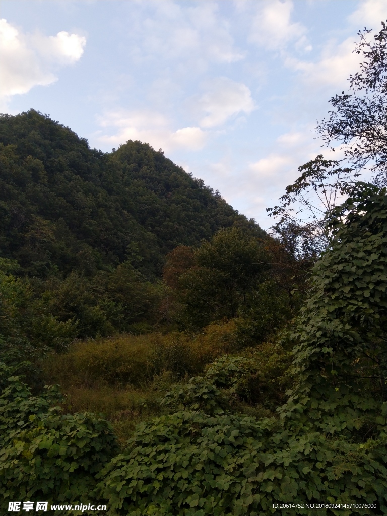 大山风光