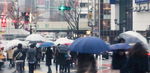 日本