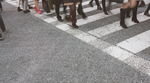 日本